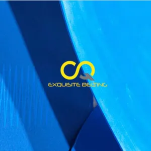 Meat and Seafood Blue Food Grade Belts thumbnail-2