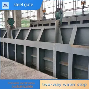 Steel Plane Gate, Stainless Steel Gate and Mechanism Integrated Design, Water Retaining Gate for River and Reservoir thumbnail-4