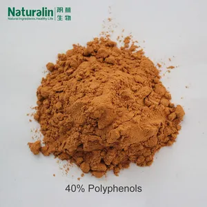 Green Tea Extract thumbnail-3