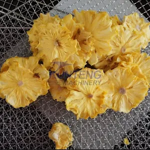 Food Grade Fruit Drying Oven Dryer Pineapple Drying Machine Pineapple Dehydration Production Line EPC thumbnail-3