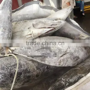 Frozen Long-line Skipjack Tuna Fish thumbnail-3