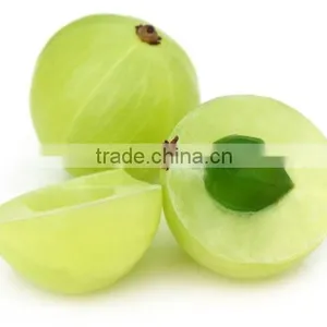 Superior Quality Amla Powder Bulk Producers thumbnail-3