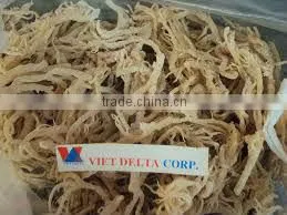 Eucheuma Cottonii Seaweed thumbnail-1