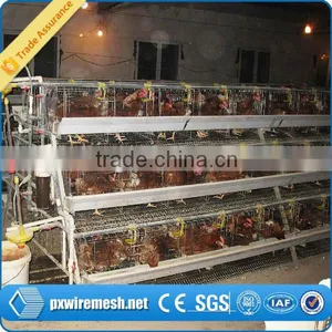 Poultry Chicken House/ Coop for Chicken thumbnail-4