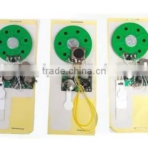 Customized Recordable Voice Recognition Chip With IC Chip thumbnail-4