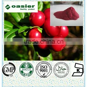 100%Natural Super Antuoxidant Lingonberry Extract thumbnail-1