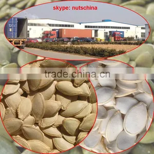 Shine Skin Pumkin Seed Kernels thumbnail-6