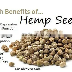 Quality Hemp Seeds thumbnail-4