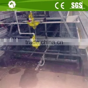Agriculture Chicken Cage With Manure Removal Machines thumbnail-3