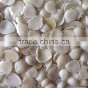 Supply Blanched Apricot Kernels (longwang Type,Youyi Type) thumbnail-1
