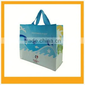 pp Woven Carry Bag thumbnail-1