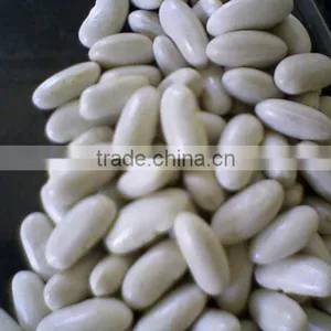 White Kidney Beans thumbnail-1