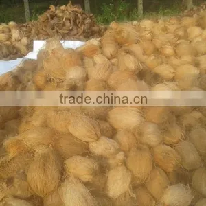 Delhi Coconuts thumbnail-3