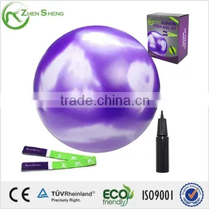 ZHENSHENG Exercise Stability Ball With Pump thumbnail-1