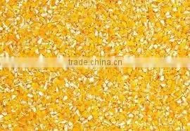 YELLOW Corn FOR SNACK thumbnail-1