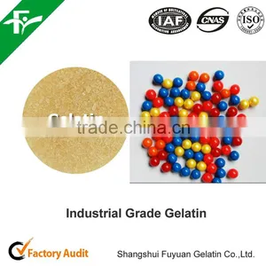 Paintballs Gelatin Porcine Gelatin thumbnail-1