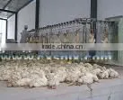 Poultry Moving Machine After Slaughtering thumbnail-1