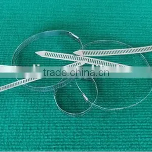 Hot Sale,Made In China,Coated Multi Lock Stainless Steel Cable Tie thumbnail-6