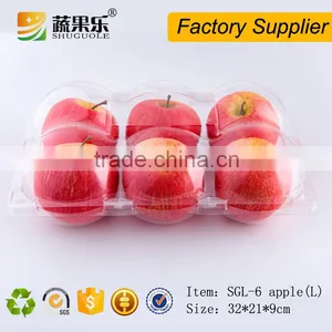 6 Loaded Clear Plastic Packing Box for Orange/apple thumbnail-3