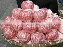 HKVIMEX"S Global Grap Sweet Fresh Pomelo thumbnail-1