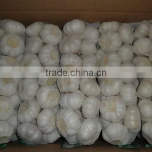 HOT!!HOT!!FARMLAND PURE WHITE FRESH GARLIC thumbnail-1