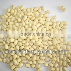 Blanched Peanut Kernel 25/29 29/33 41/51 51/61 thumbnail-1