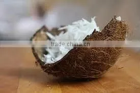 Desiccated Coconut From Vietnam, High Fat, Medium and Fine Grade, Supplied by Hagimex thumbnail-2