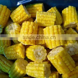 2016 New Crop Frozen IQF Sweet Corn Cob thumbnail-4