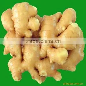 Fresh Mature Ginger thumbnail-1