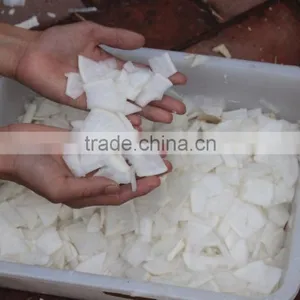 FC-336 Multipurpose Vegetable Slicer and Shredder Cutting Machine thumbnail-3
