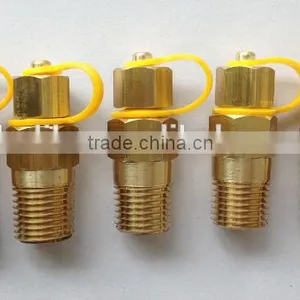 1/4" Brass Pete's Pressure Test Plug thumbnail-1