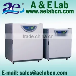 CO2 Incubator BPN-150CRH(UV) thumbnail-1