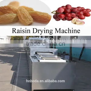 Raisin Drying Machine thumbnail-3
