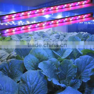 MarsHydro Red and Blue 4ft 18W Led Grow Light Bar for Mushroom Strawberry,Fruit Grow Led Bar thumbnail-3