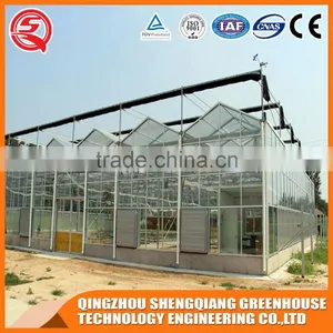 Vegetable and Flowers Poly Tunnel Glass Greenhouse Made in China thumbnail-4