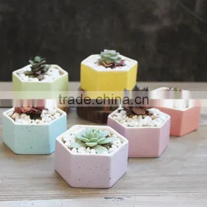 Hot Sale Rainbow Hexagon Flower Pot Ceramic for Planter thumbnail-3