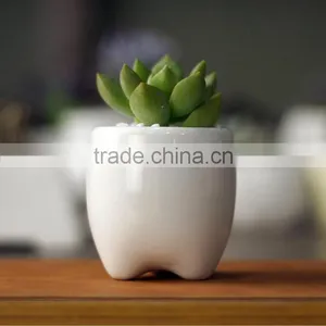 Zakka Indoor Mini Tooth-shaped Ceramic White Flower Pot for Succulents thumbnail-1
