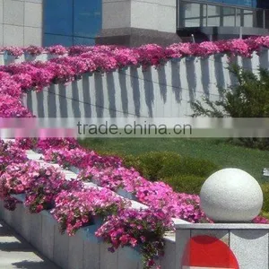 Eco-friendly Cheap Flower Pots Recyclable Plastic Planters Hanging Planters thumbnail-2