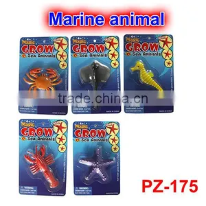 Magic Grow Marine Animal Toys thumbnail-1
