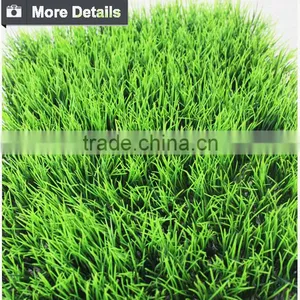 2016 Artificial Grass Artificial Green Wall for Indoor&outdoor Decoration thumbnail-4