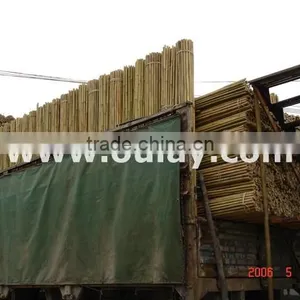 Natural Dry Bamboo Canes for SUPPORTING thumbnail-1