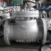300Lb CHECK VALVE thumbnail-1