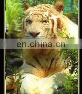 Under the Background of Green White Swan3D Lenticular Cell Phone Case thumbnail-3