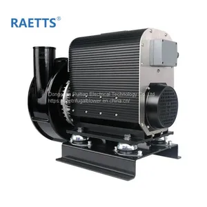 Blower Factory 85% High Efficiency RAETTS EXPLORER-85 5.5kw Turbo Air Blower for Air Knife Drying System thumbnail-3