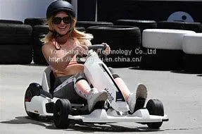 Ninebot Fashion go Kart thumbnail-3