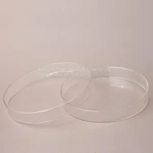 Petri Dish and Other Laboratory Dishes thumbnail-1