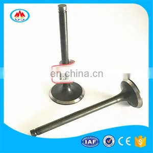Dump Truck Engine Parts Intake and Exhaust Engine Valve for Mitsubishi 8m20 8m21 8m22 thumbnail-6