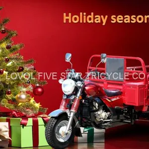 Gasoline Tricycle Cargo Loader Lovol Three Wheeler Mali Ethiopia Ghana Bukina Faso Tanzania Kenya Senegal Togo Benin Nigeira Mauritania Angola Burundi Chad Cameroon C ô te D'Ivoire Gabon Guinea Mozambique Rwanda Congo Uganda Zimbabwe thumbnail-1