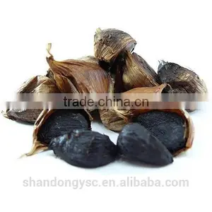 Good Quality Black Garlic thumbnail-2