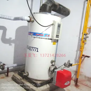 Supply of Gas Hot Water Boiler for Heating Small Rooms in Russia thumbnail-1